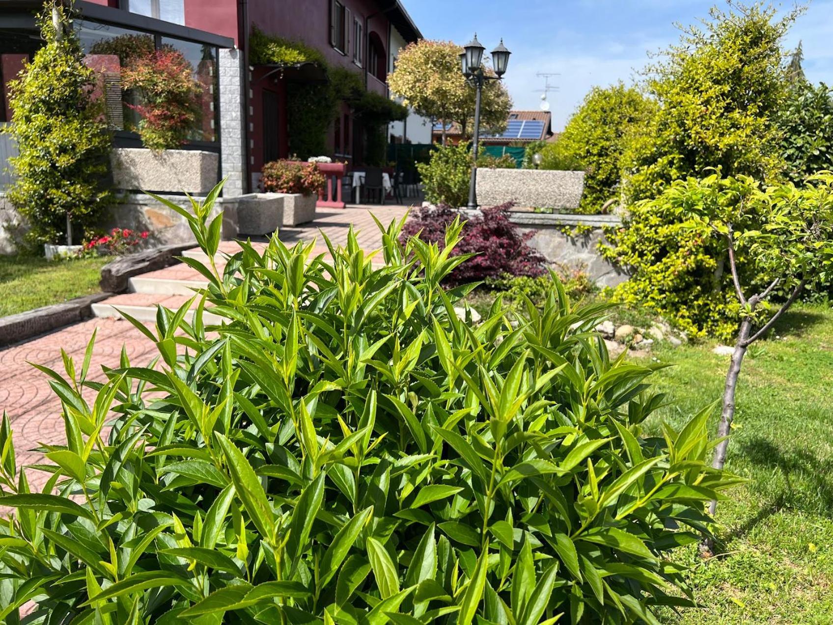 Villarosybeb Paruzzaro Buitenkant foto